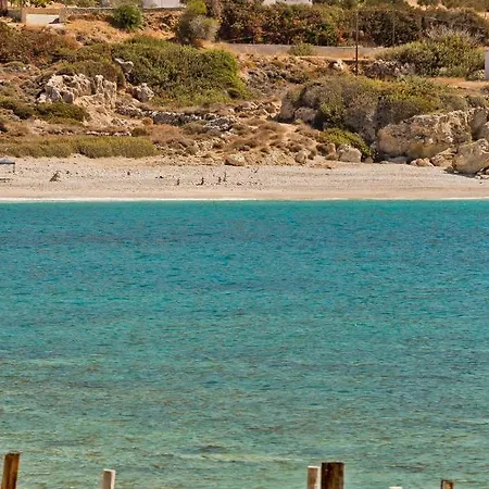 Albatros & Apartment