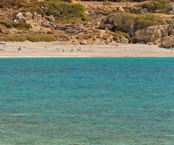 Albatros & Apartment